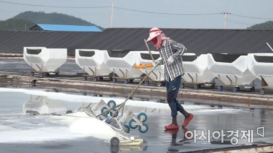 전남 신안군 신의도의 한 염전. 해당 사진은 기사의 직접적인 내용과 관련 없음.