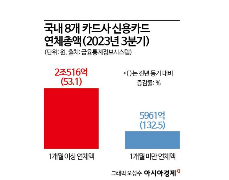 카드 연체액 2조원… 신용 대란 ‘경고음’