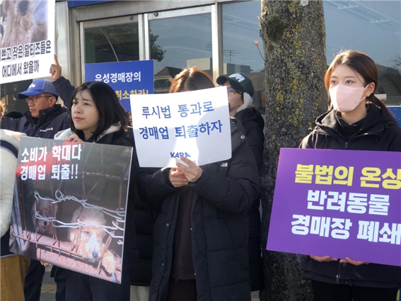 반려동물 번식 공장 금지…'한국판 루시법'에 쏠리는 눈