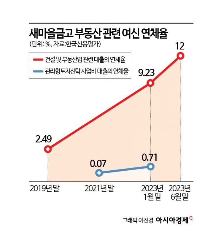 새마을금고, 부실 단위금고 간 합병 착수