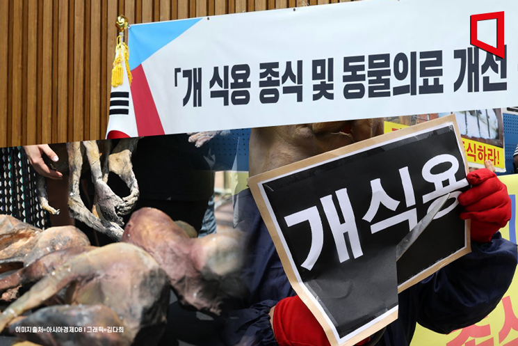 3년 뒤 사라지는 개고기…'보상금·식문화' 남은 문제들