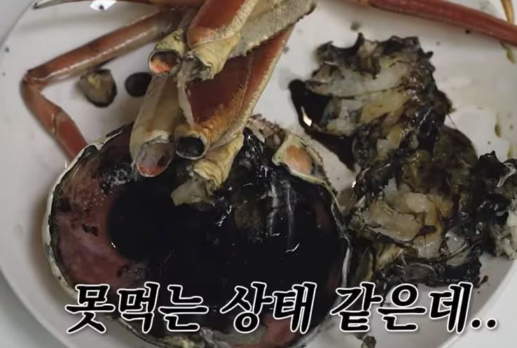 [이미지출처=입질의 추억 캡처]