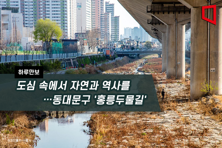 [하루만보]도심 속에서 자연과 역사를…동대문구 '홍릉두물길'