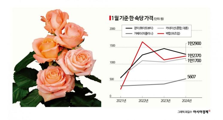 "졸업식 꽃다발 7만원이 바가지?" 억울한 꽃집 사장님