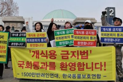 동물보호단체 관계자들이 지난 10일 국회 앞에서 ‘개 식용금지법’의 국회 본회의 통과 환영 구호를 외치고 있다. [이미지출처=연합뉴스]
