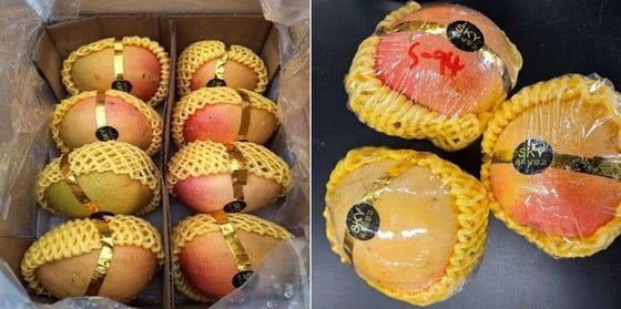 기사와 직접 관련 없음.