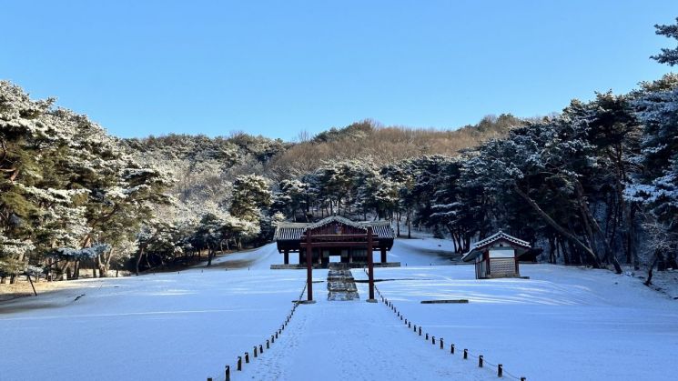 고양 서오릉 설경