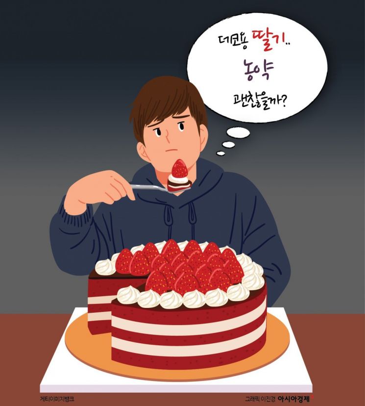 [맛잘알 X파일]"케이크 속 딸기는 세척 안해요?" 물었더니