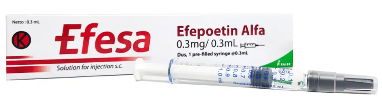 제넥신, 자체 개발 빈혈 약 '에페사' 국내 허가 신청