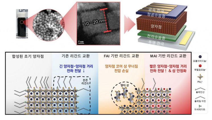 유기계 페로브스카이트 양자점 소재와 이를 이용한 태양전지의 구조 및 리간드 치환 방식 모식도.