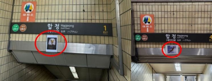 29일 X(옛 트위터) 등 온라인 커뮤니티에는 합정역에 붙은 맹금류 사진 관련한 내용이 지속해서 올라왔다. [사진출처=X(옛 트위터)]