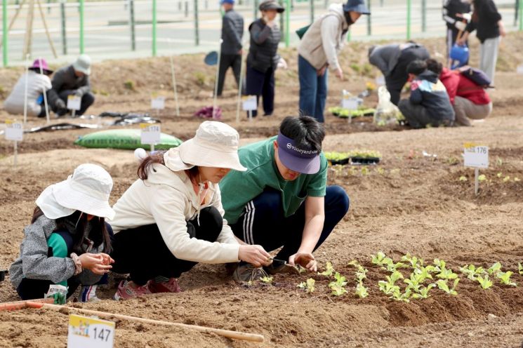 봄이다!...입춘 코앞 서울 자치구 도시 텃밭 분양 시작