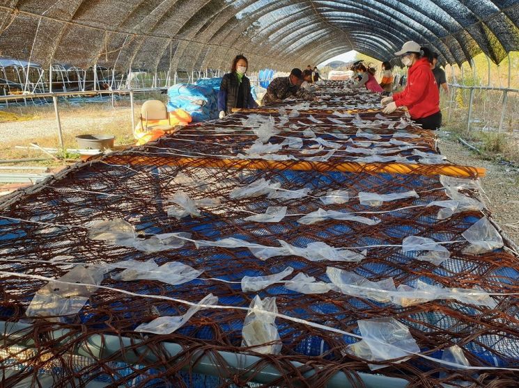 경기도해양수산자원硏, 어업인 사고시 최대 60일 어업활동 지원