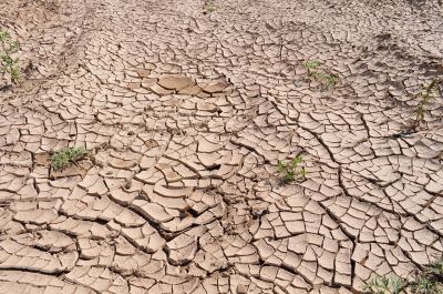 이대로면 서울서 사망자 82% 증가…"2040년은 위험, 2080년은 상상 초월"