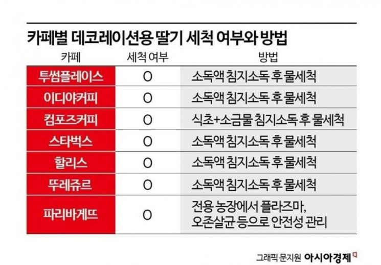 [맛잘알 X파일]"케이크 속 딸기는 세척 안해요?" 물었더니