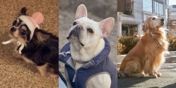 [인터뷰]윤여정이 선택한 그 감독…김덕민 “영화로 먹고 사는 날 올까요?”