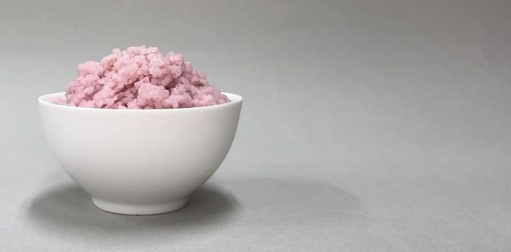 홍진기 연세대 교수 연구진이 쌀에 소의 줄기세포를 붙여 새로운 배양육을 개발했다. 사진은 일명 '쇠고기 쌀'로 지은 밥. [이미지출처=연세대]
