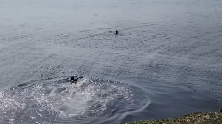 [이미지출처=유튜브 채널 '딥씨사이드' 캡처]