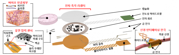 인체 이식형 촉각 기능 스마트 바이오닉 인공피부 구성 요소
.