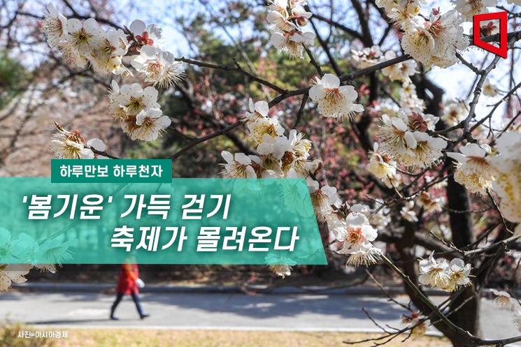 [하루만보 하루천자]'봄기운' 가득 걷기 축제가 몰려온다