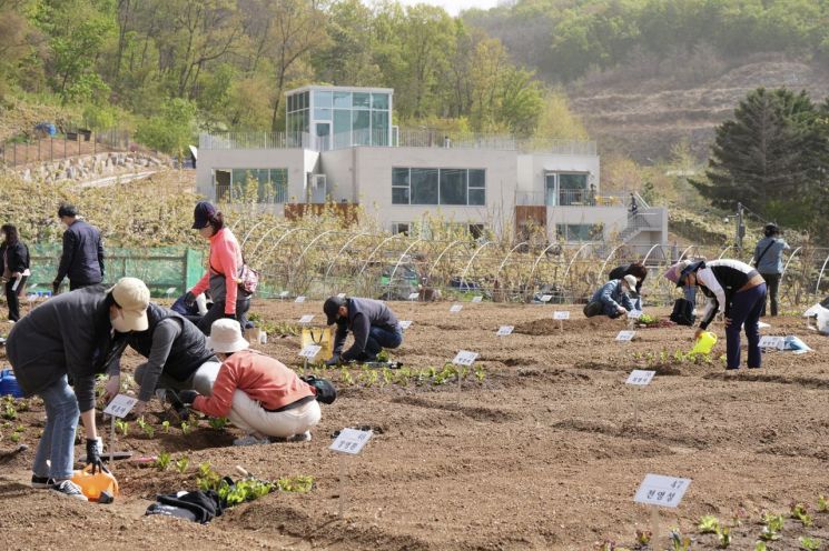 중랑구 행복농장 텃밭·봉화산자연체험공원 배나무 분양