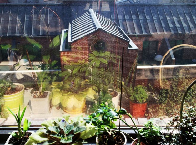 [언스타그램]말할 수 없는 것들의 말