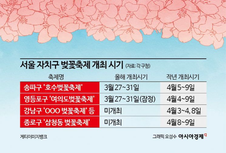 "축제 시작도 전에 다 떨어지는데…" 3월로 당겨진 '벚꽃축제'