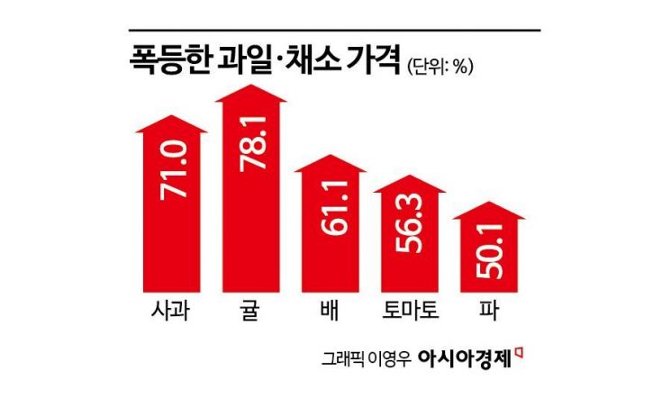 치솟는 귤값에 군침만…신선식품지수 32년만에 최대폭 증가(종합)