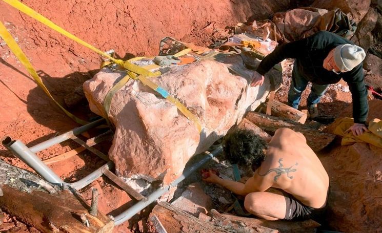 산책 중 발견한 뜻밖의 물체…7000만 년 된 공룡 화석이었다