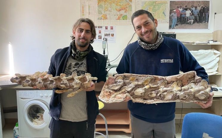 산책 중 발견한 뜻밖의 물체…7000만 년 된 공룡 화석이었다