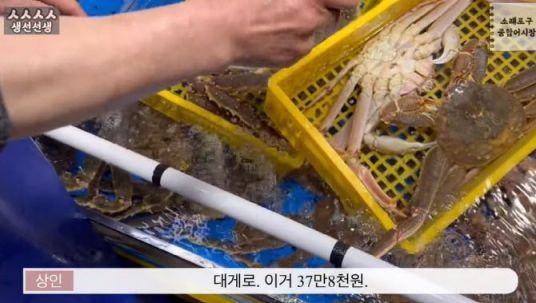 '킹크랩 53만원' 소래포구 또 걸렸다…이번엔 '저울 눈속임'