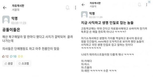 의대 증원 확대에 맞서 파업에 나선 전공의들을 비판하는 서울대생들. [사진=서울대 에브리타임 갈무리]