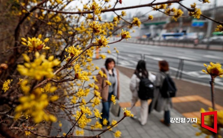 [날씨]낮부터 바람 불어 쌀쌀…동해안 산불주의