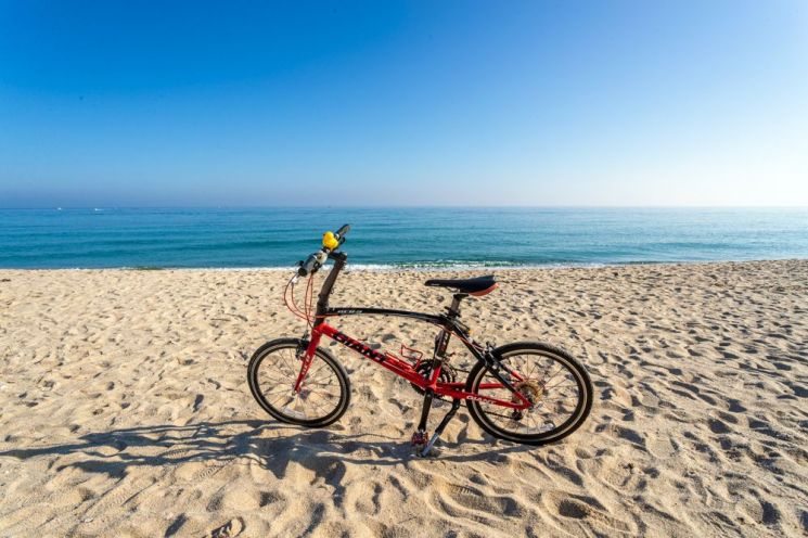 바다를 친구삼아 잠시 쉬고 있는 자전거