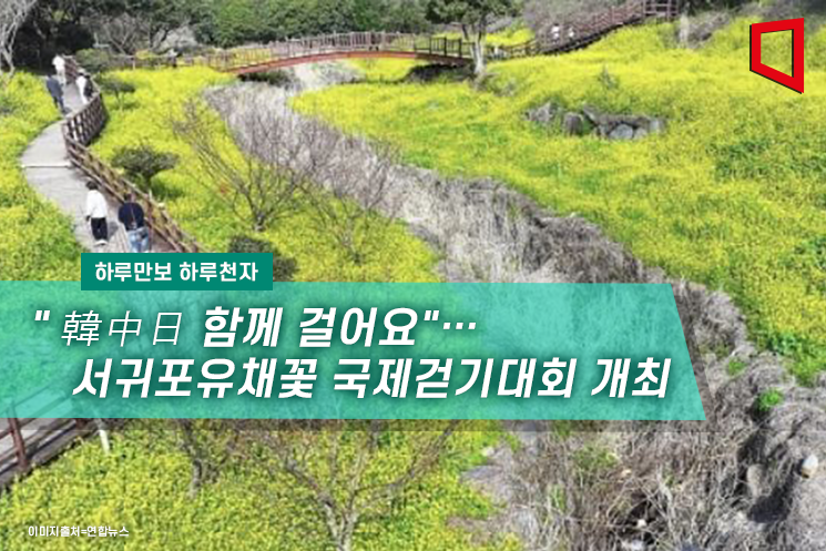 [하루만보하루천자]"韓中日 함께 걸어요"… 서귀포유채꽃 국제걷기대회 개최