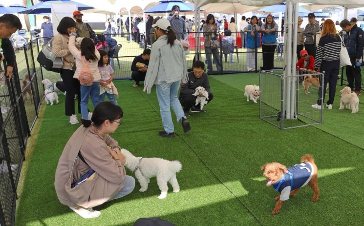 금천구, 취약계층 반려동물 의료비 최대 40만 원 지원