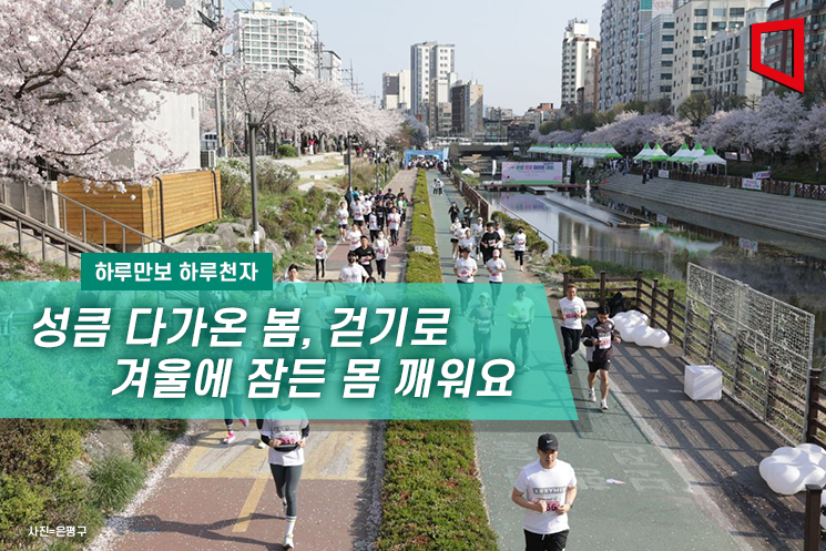 [하루만보 하루천자]성큼 다가온 봄, 걷기로 겨울에 잠든 몸 깨워요