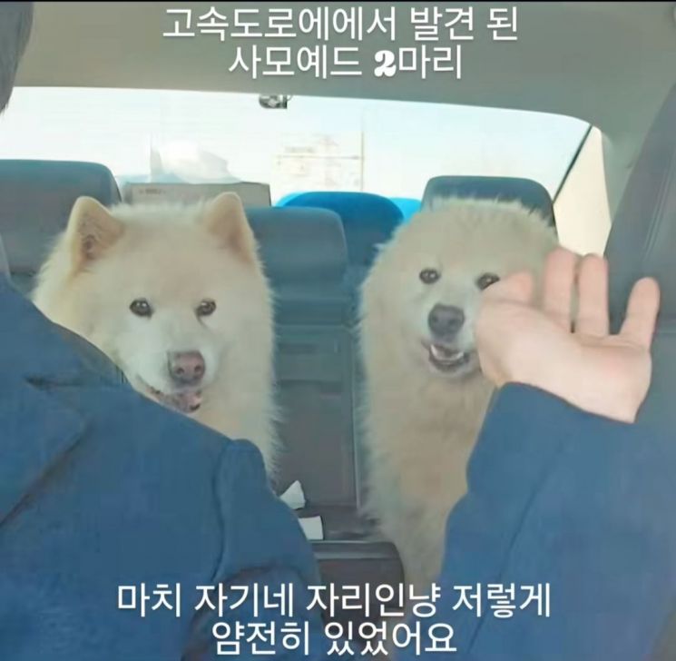 [이미지출처=구조자 김강언 씨 인스타그램 캡처]