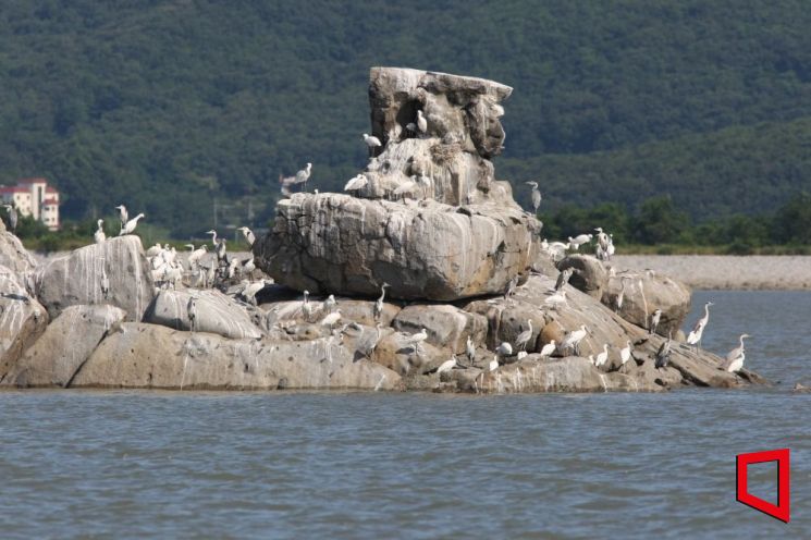 강화도 갯벌 저어새 번식지 [사진제공=문화재청]