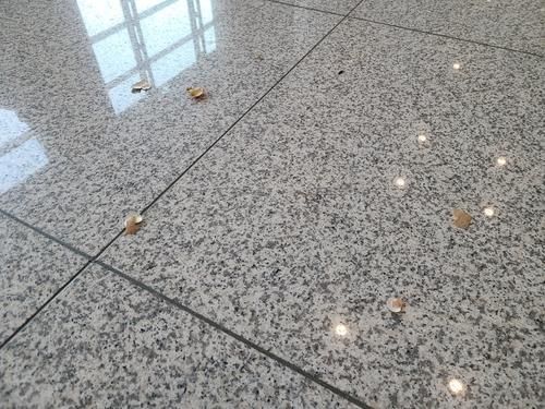 LA다저스 선수단에 계란 던진 20대 검거…"기분 나빠서"