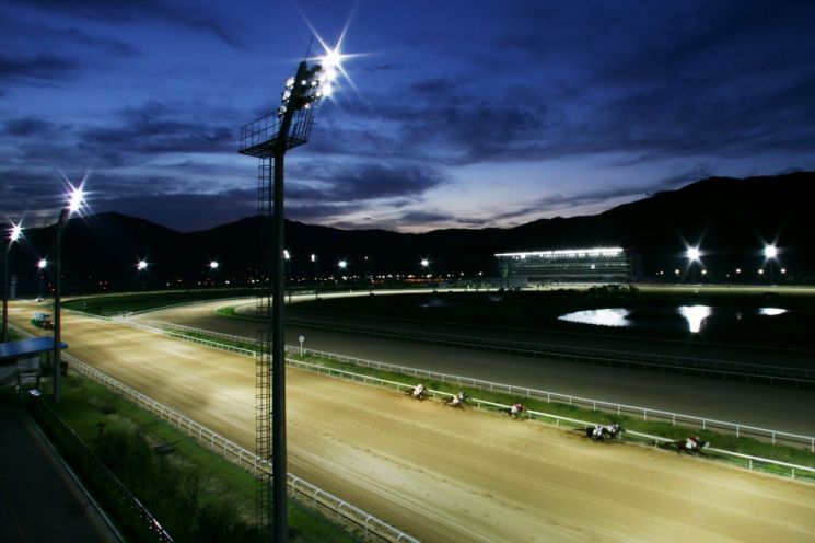 잠못이루는 축제의 밤… ‘렛츠런파크 부산경남’ 봄 체험행사·야간경마 오픈