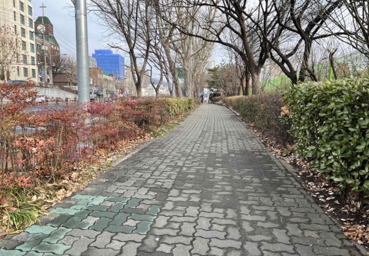 보도 개선 전 현재 상태