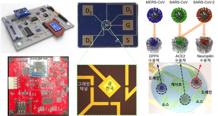 신·변종 호흡기 바이러스 현장 신속진단 센서와 그래핀 트랜지스터 표면 이미지.