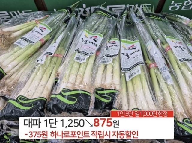 서울 서초구 농협 하나로마트 양재점에서 팔고 있는 대파 가격. [사진출처=하나로마트 양재점 온라인 전단지 캡처]