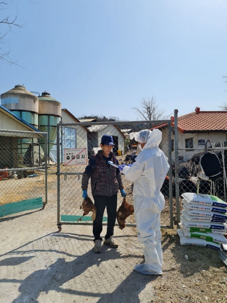 경기도청 공무원이 농가예찰 및 방역지도를 하고 있다.