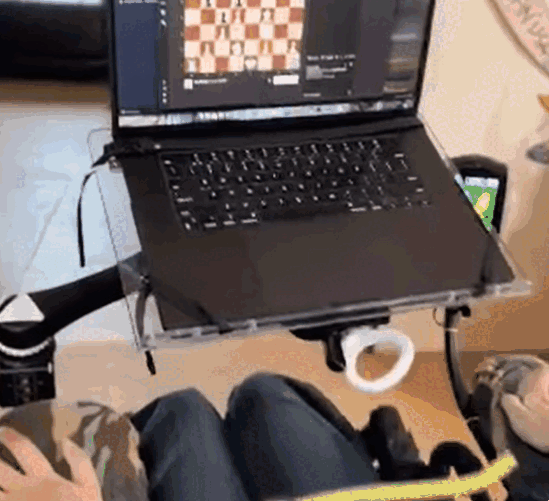 머스크 '뉴럴링크' 뇌파 조종 …게임에 체스까지 척척