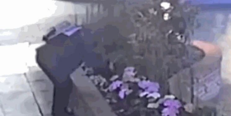 경기 용인시 기흥구의 한 카페 화단에서 한 남성이 꽃을 훔치고 있는 모습이 CCTV에 잡혔다.[이미지출처=JTBC '사건반장' 캡처]