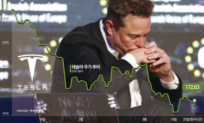 올 들어 테슬라 주가 추이