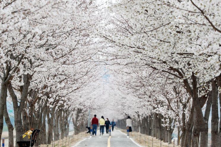 의령군, 2024년 어울림 마을축제 대상지 선정