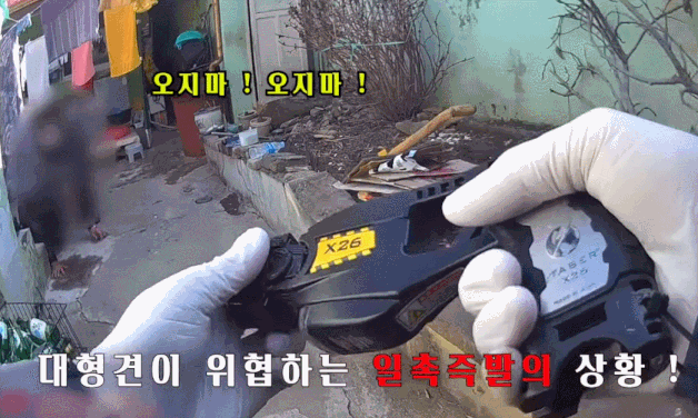 70대 주인 덮친 40㎏ 대형견…경찰, 테이저건 쏴 제압